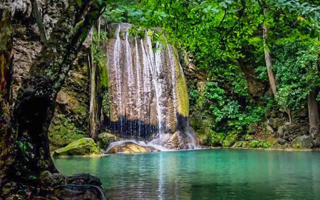 listing-details-carousel